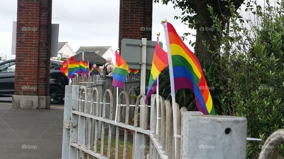 Rainbow Pride flags flying