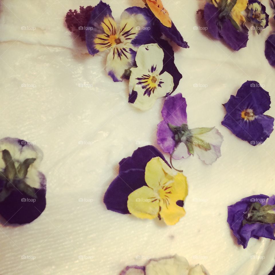 Edible flowers closeup on icing 
