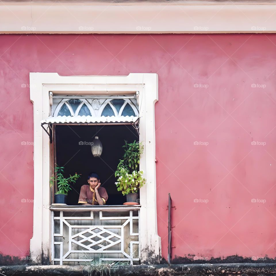 window views