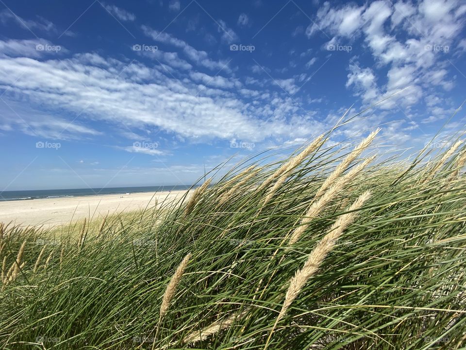 Balm for the soul a beautiful summer day at the sea Rømø Denmark 2020 