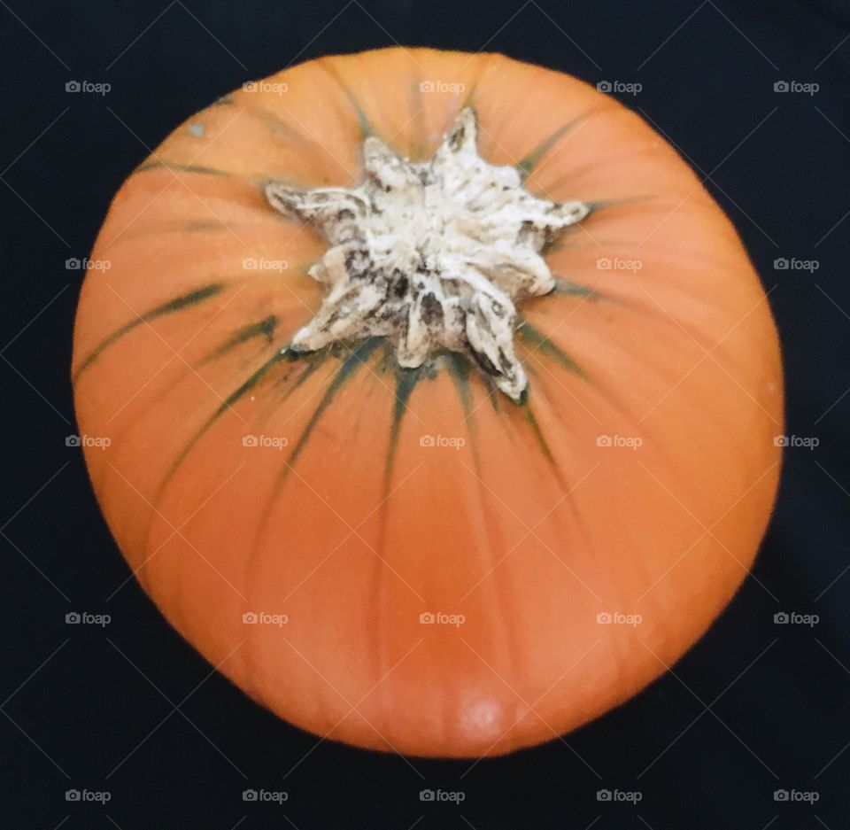 Pumpkin close up. The black background really makes it’s features stand out. Something a little different. 