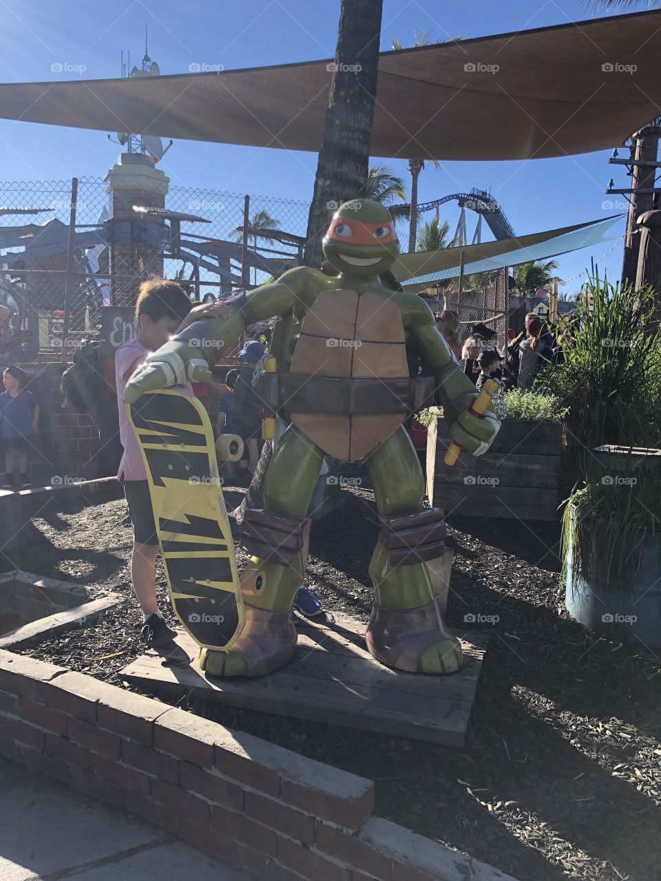 Teenage mutant ninja turtle 