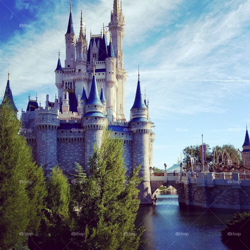 Cinderella's Castle