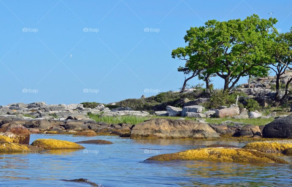 Rocky shore near lake