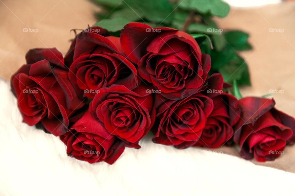 Close-up of a bouquet of bright red Valentine's Day roses on a table.
