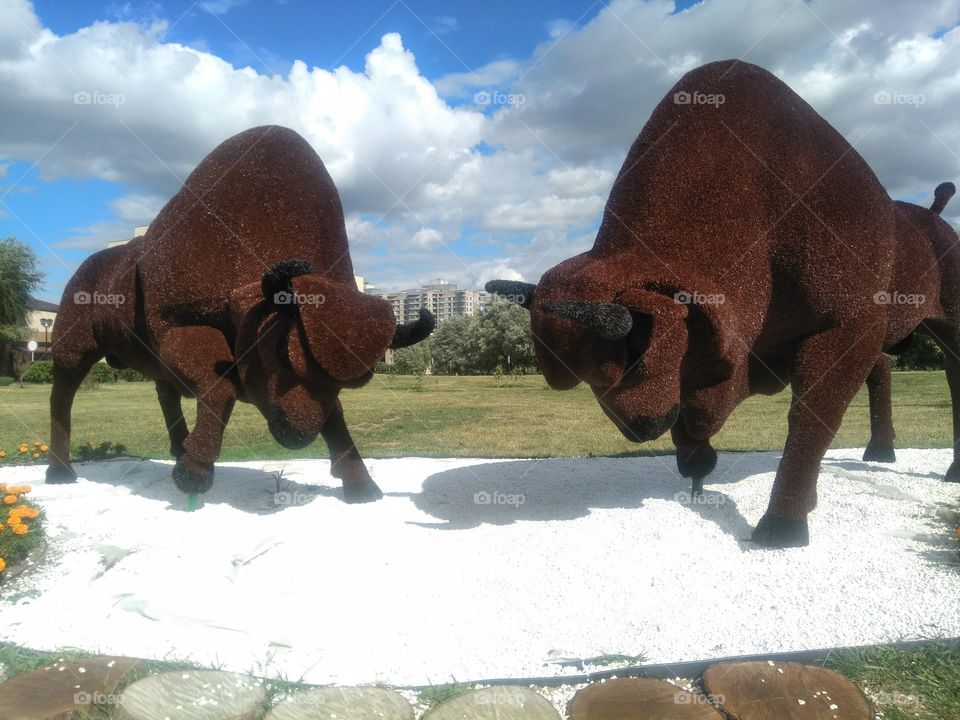 figures of bulls olympic games in Belarus