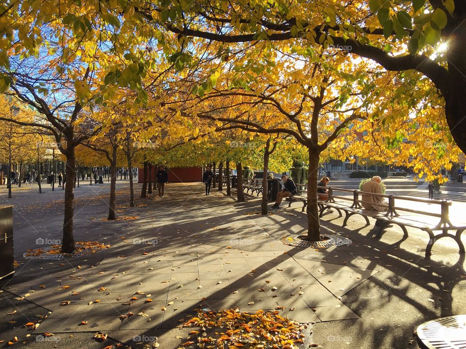 Stockholm, Sweden