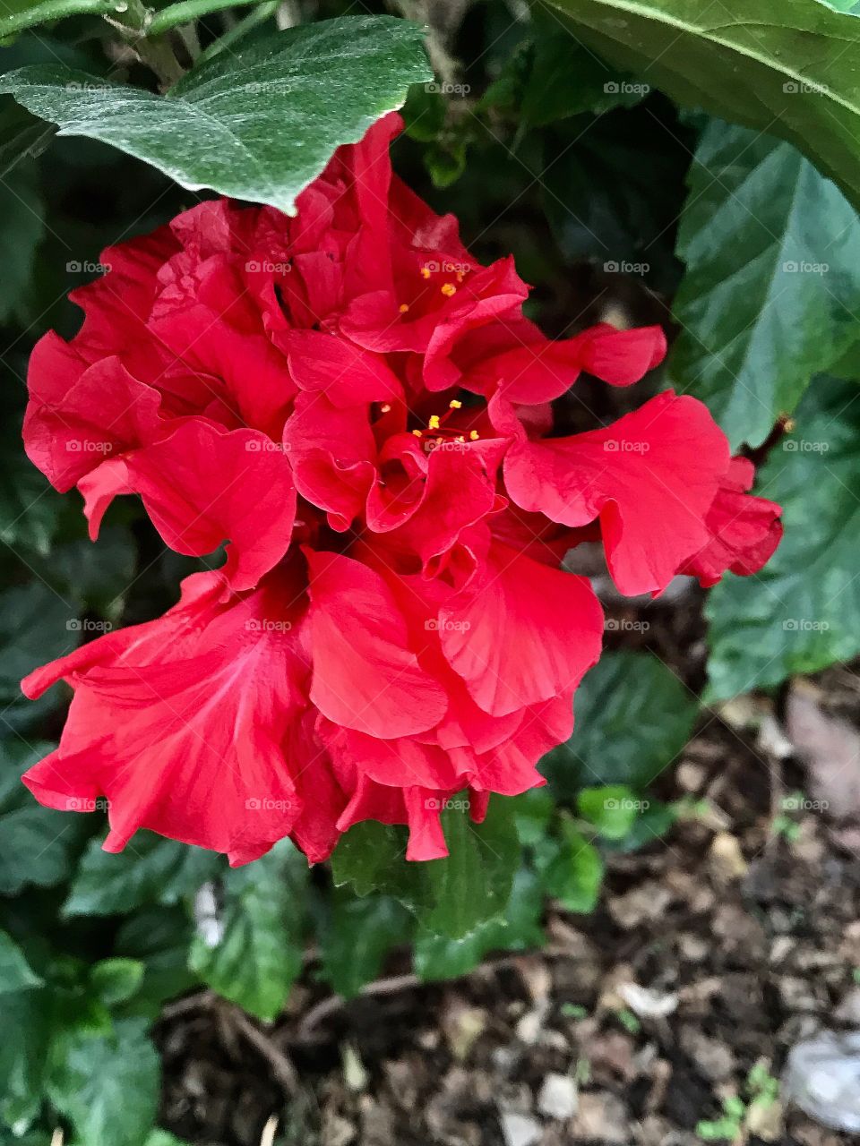 Beautiful and beautiful.