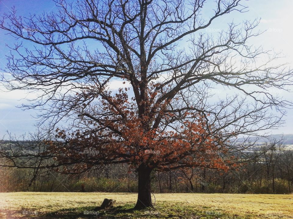 Changing the seasons 🍂