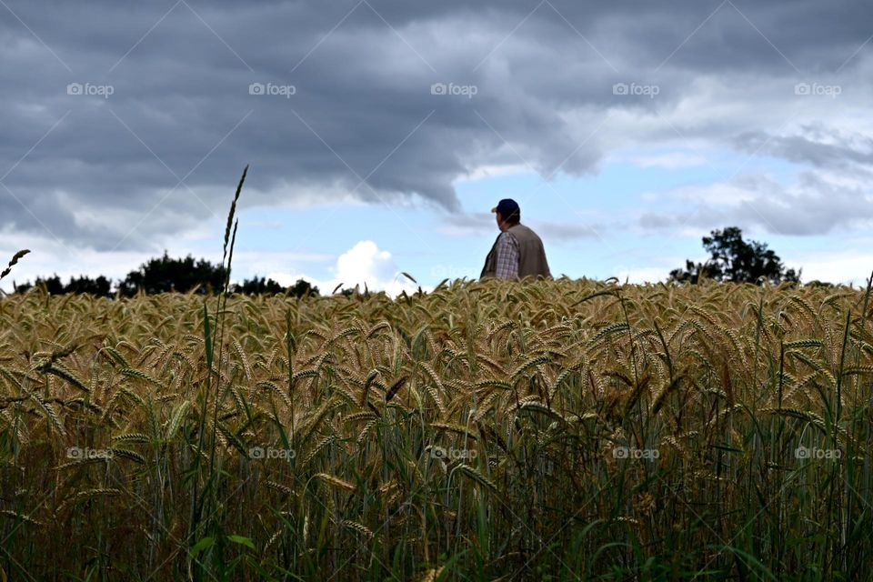 dark clouds are gathering