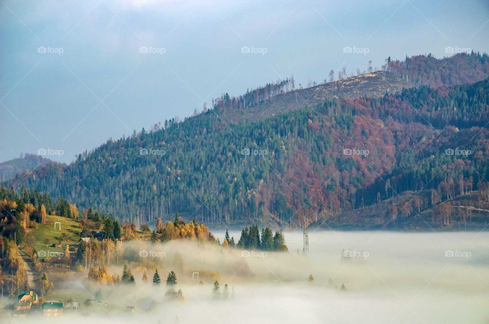 foggy morning in the carpathian mountains