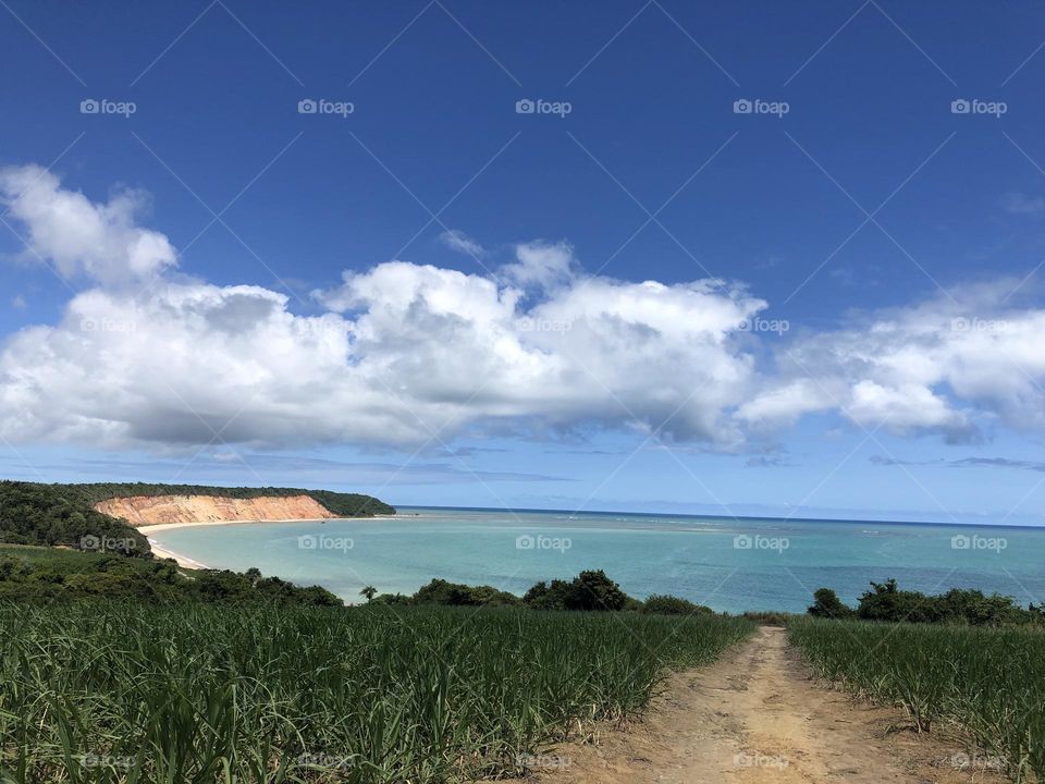 Sea view in turquoise water and the cliff at the beach in a natural environment 