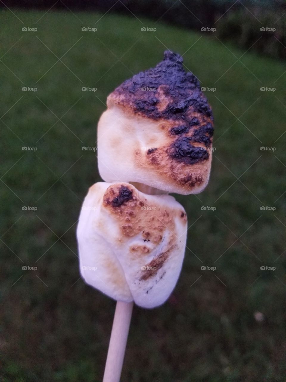 Toasted marshmallows