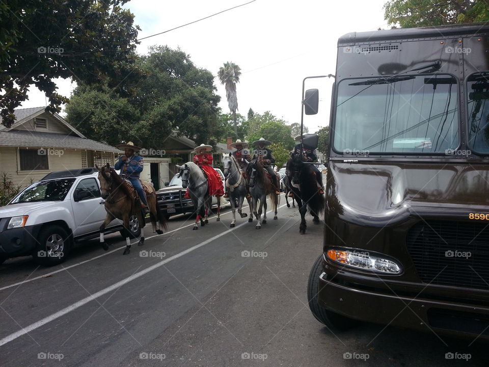 fiesta horses parade line