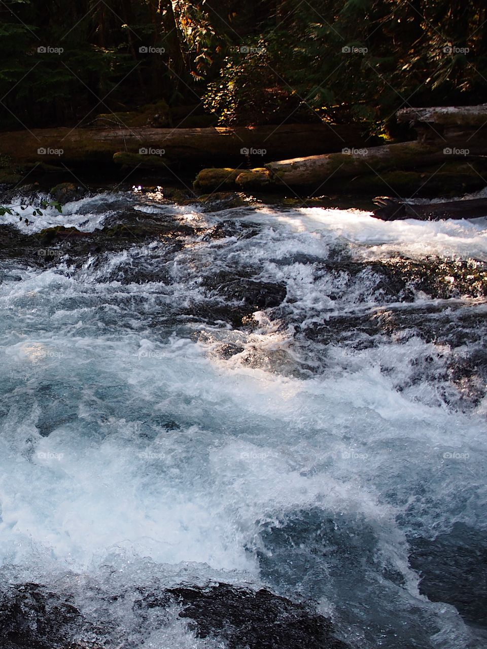 Illuminated rapids on the McKenzie River on a fall evening 