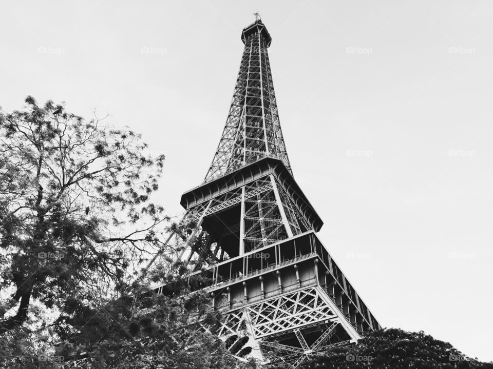 Eiffel from below 