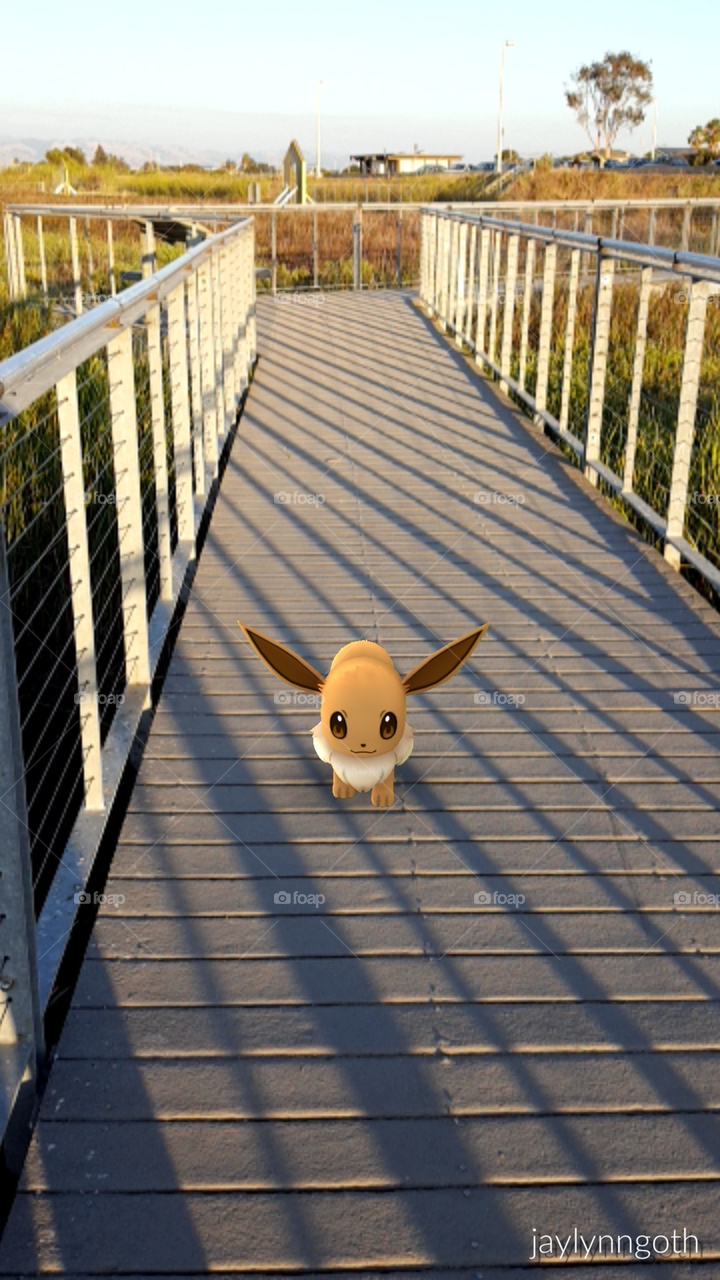 Eevee