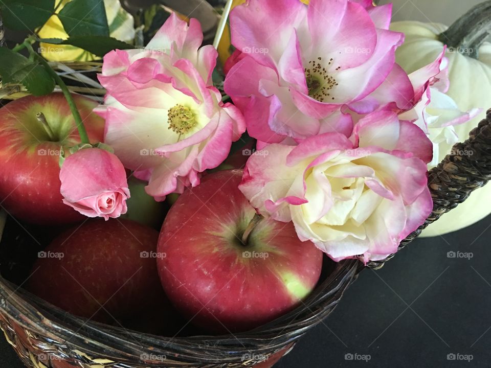 Basket of apples with fresh roses and white pumpkin in background conceptual autumn harvest and holiday centerpiece background 