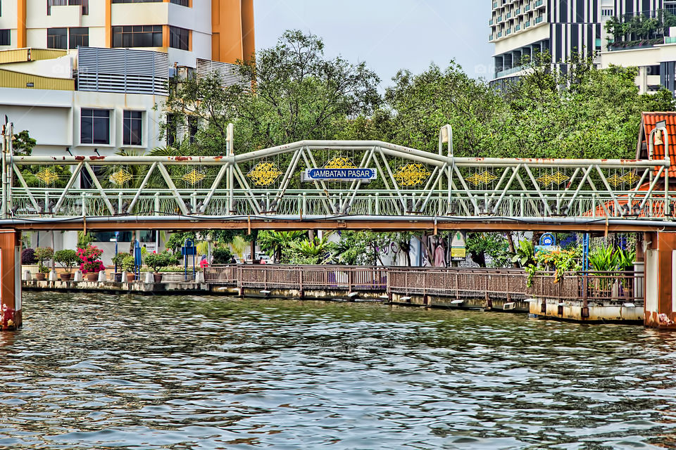 Bridge over the lake