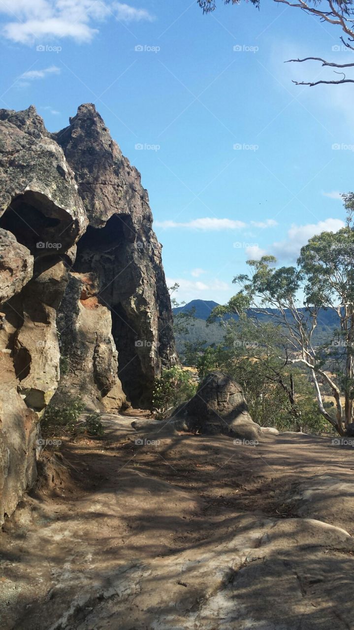 Rocks and Trees