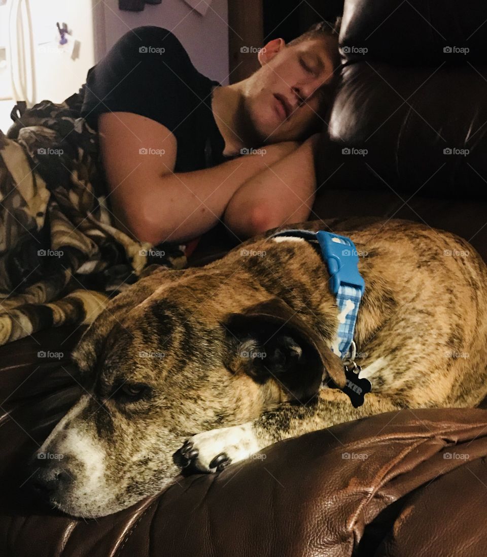 Pitt Bull and Bassett Hound mix, Tucker, resting with his uncle on a Saturday night. 