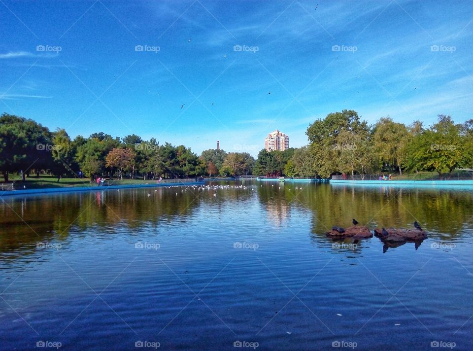 lake in the park озеро в парке