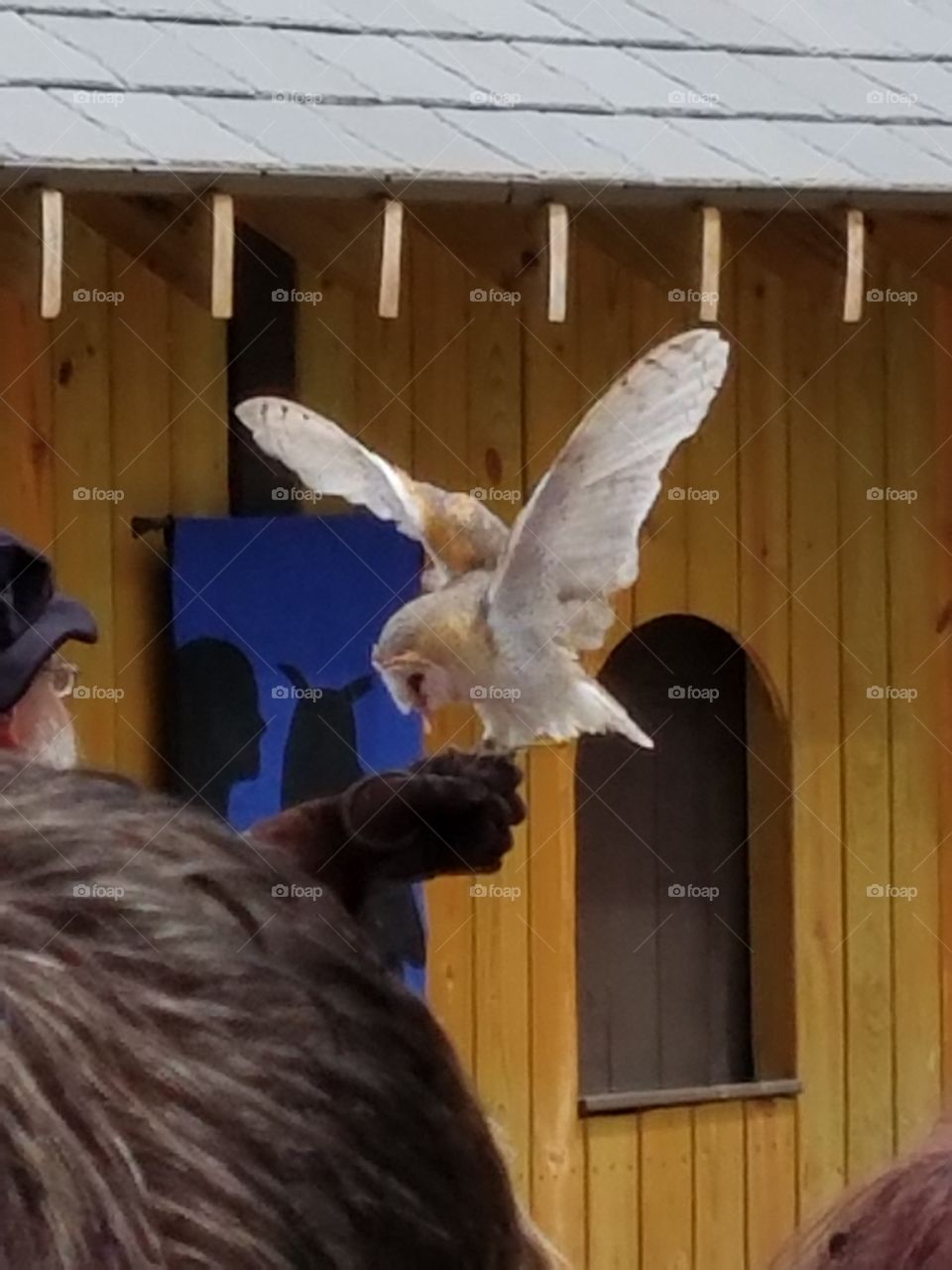 Sherwood Forest Faire pic set