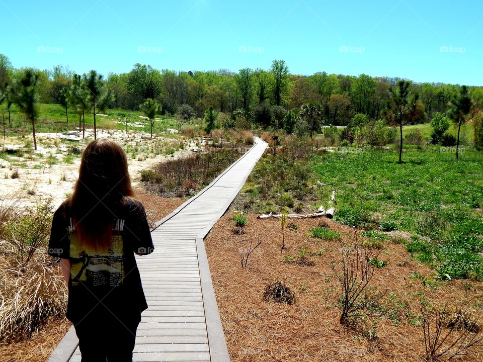 Boardwalk on one of the trails inside the South Carolina botanical garden in Clemson South Carolina