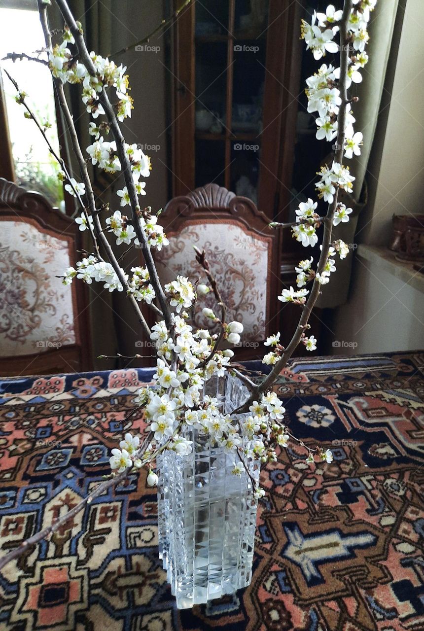 white flowers in a vase