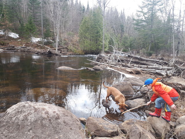 Playing by the river 