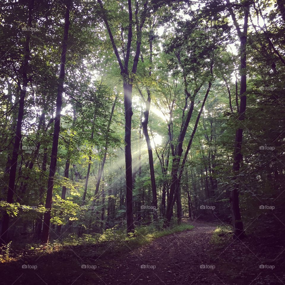 Back into the woods for a run this AM after finishing my first 100-mile race last weekend. It was good to get the legs moving again. 