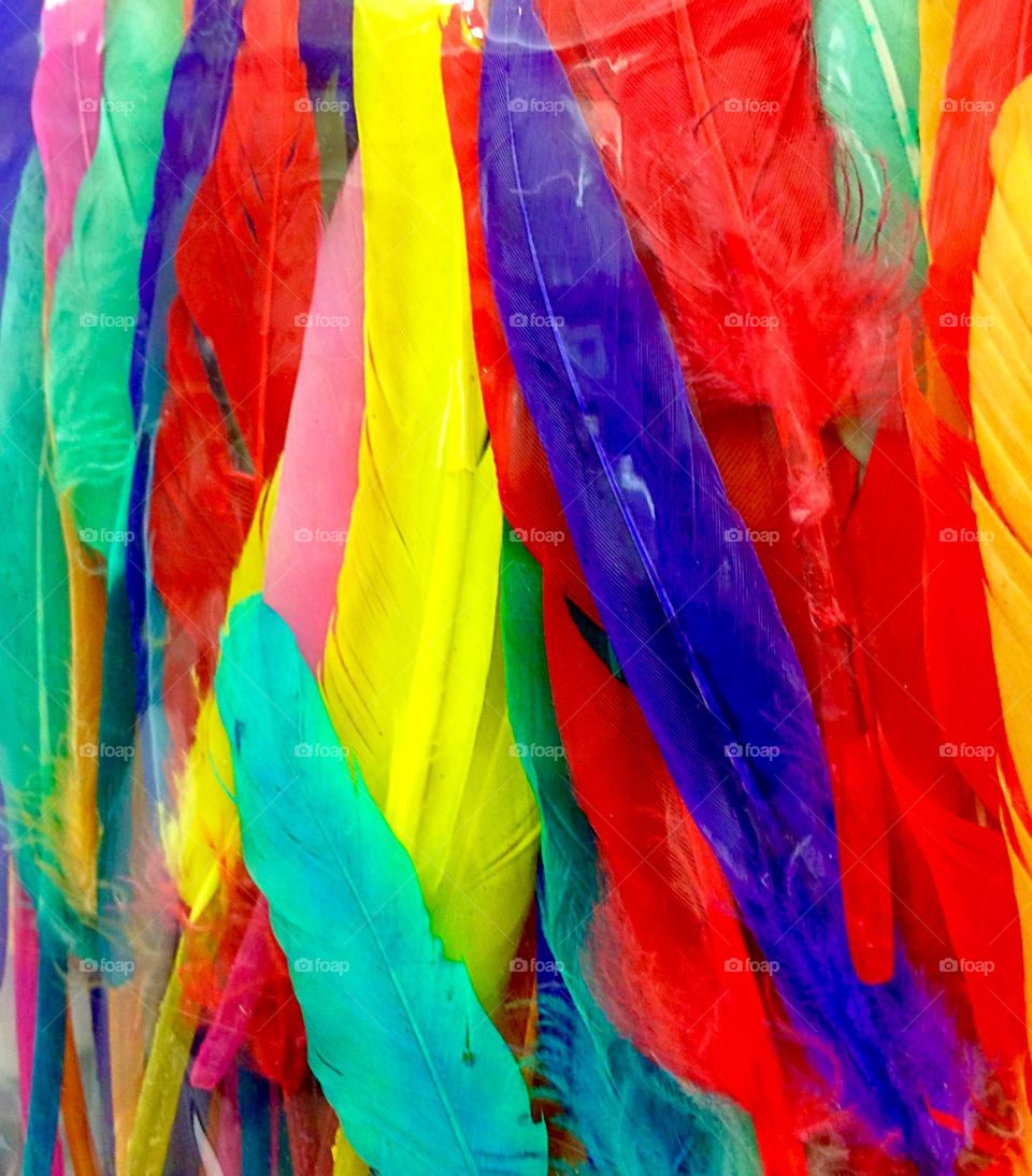Colourful feather  