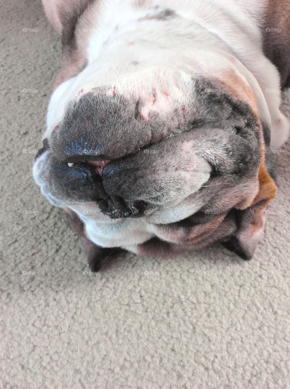 Sleeping bully baby