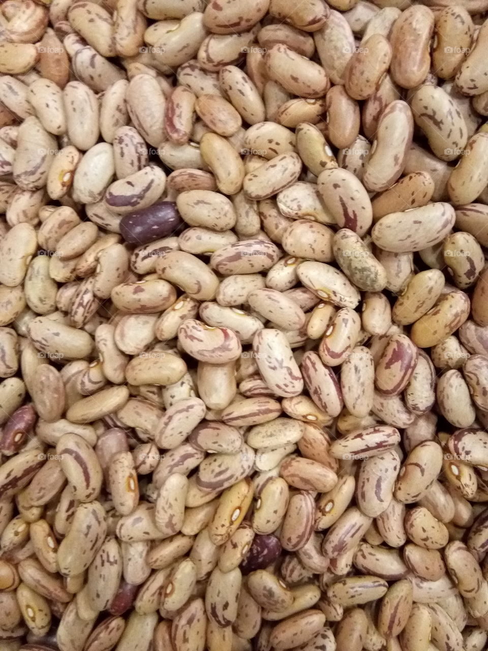 kidney bean (Rajma) is a very popular and very tasty dish.