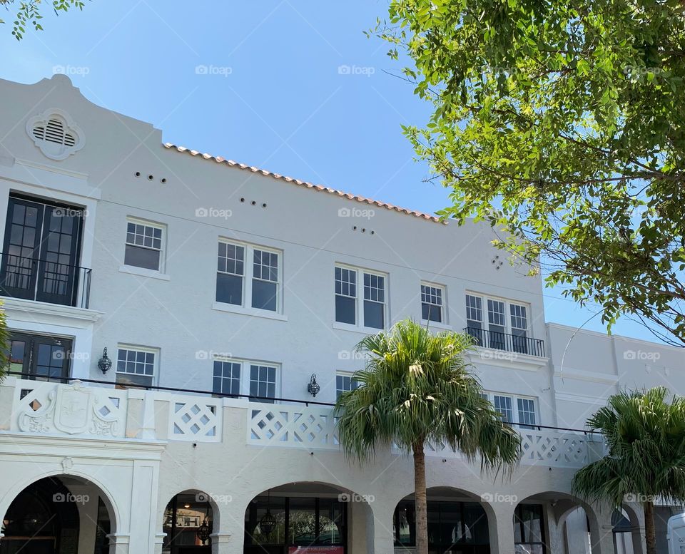 Architectural historical commercial building with rounded top arched openings with palm trees in front of the facade with three stories levels and multiple grilles windows.