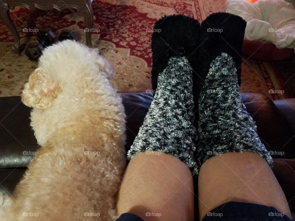 Sitting with legs up, warm fuzzy socks on & my dog with me. I'm a happy gal.