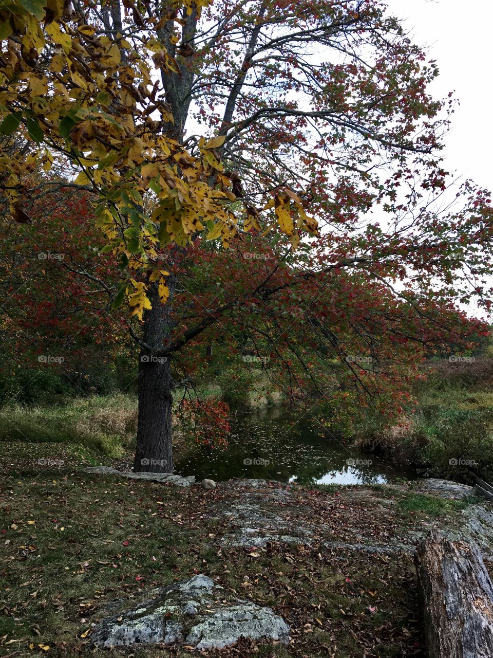 Autumn in the Hudson Valley 