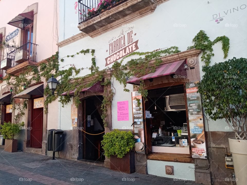 Coffee store in Querétaro