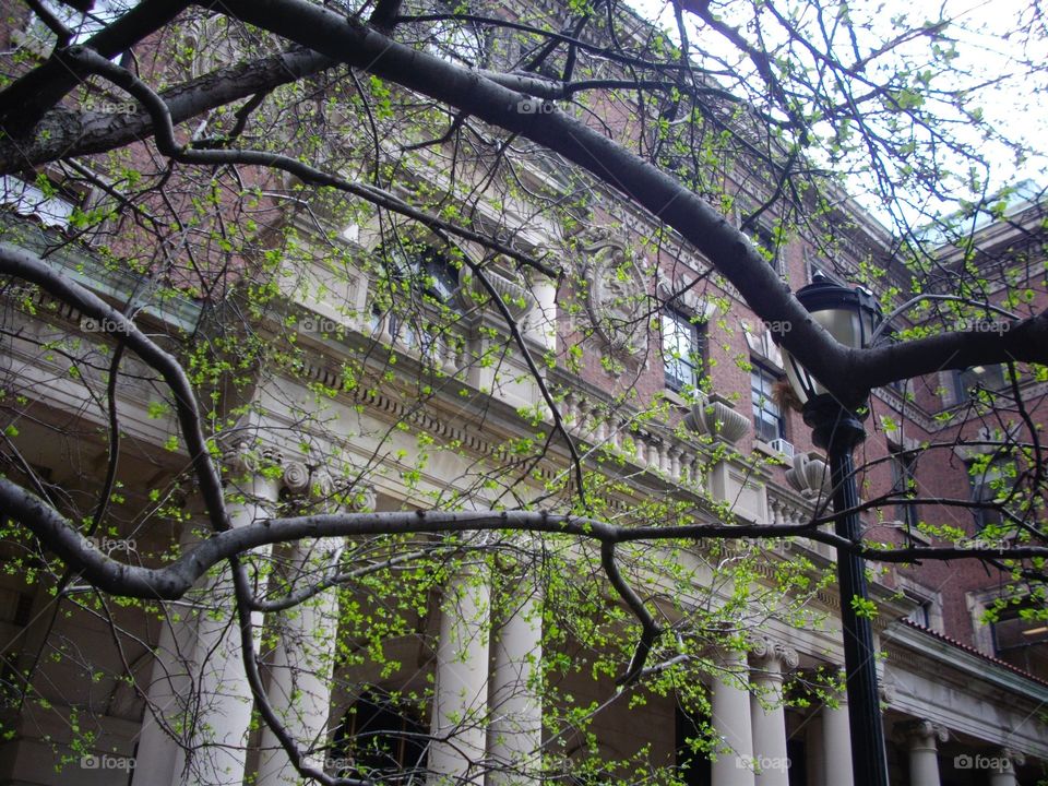Building at Barnard College 