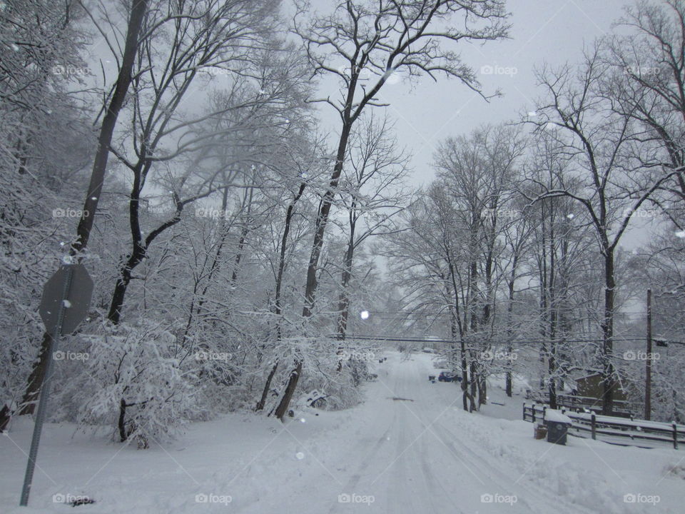 Snow Snow and More Snow