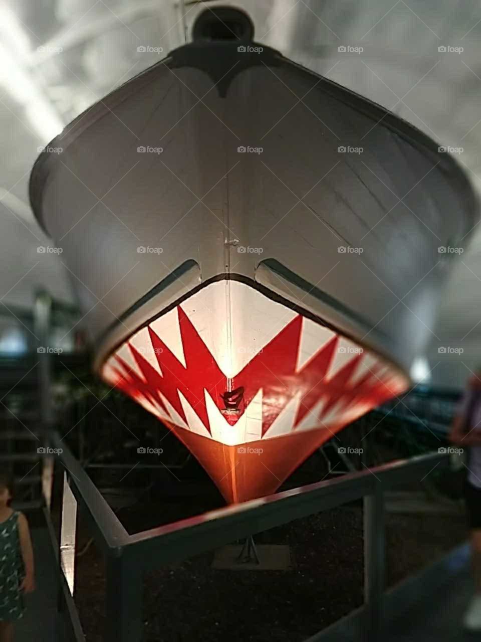 shark boat