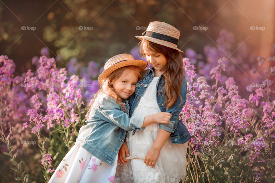 Cute little sisters portrait in blossom meadow at sunset 