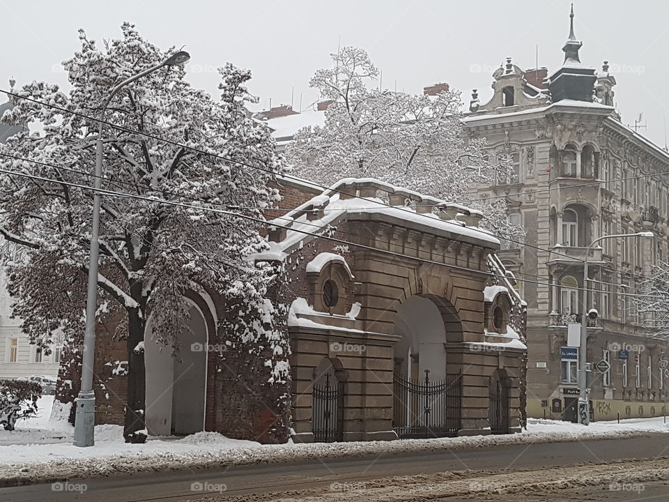 Smetanova Park,  winter