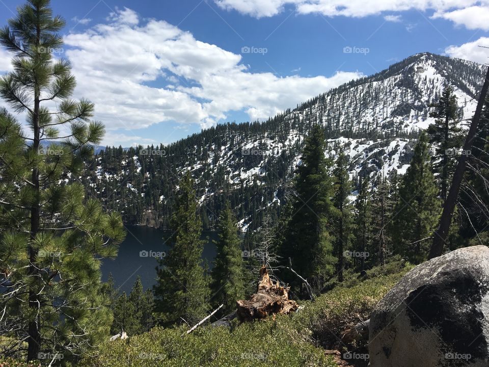 Beautiful Lake Tahoe in summer, when the snow is still melting and filling up the bright blue lake. The mountain slopes surrounding the lake, filled with the conifer trees lined up from top to bottom and cottony clouds, add to the mesmerizing beauty