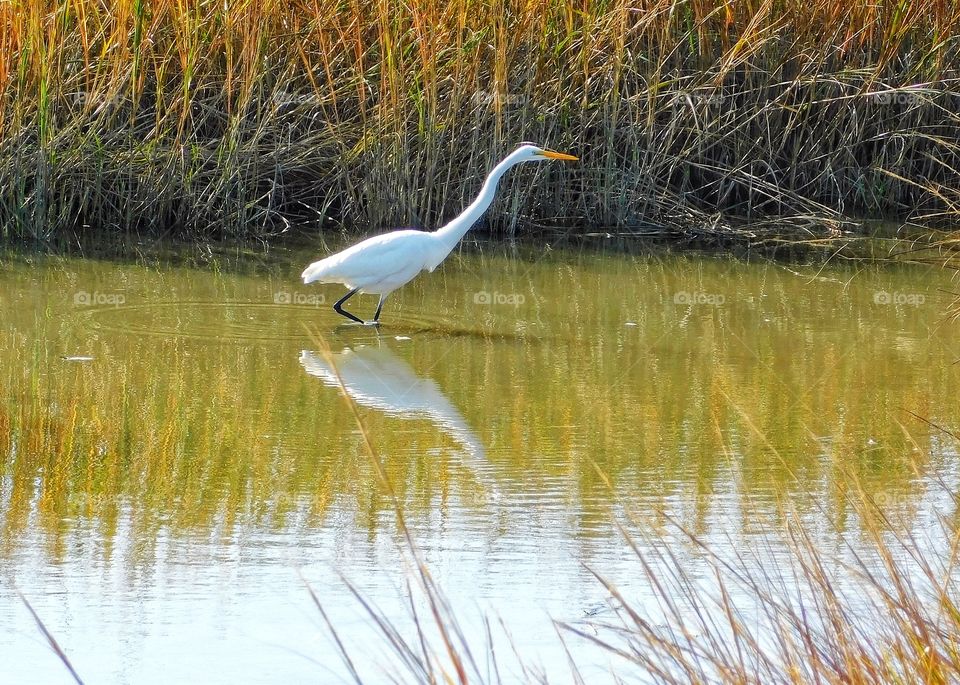 Silver Sands State Park