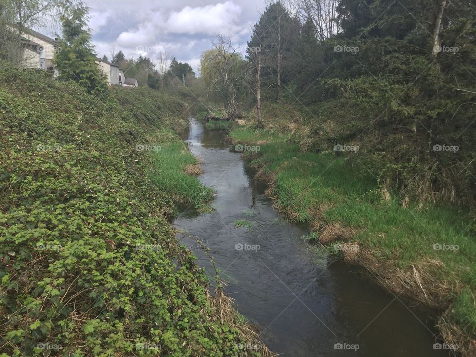 The Creek Near my home