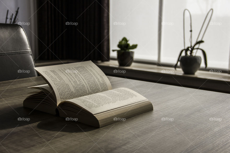 An scenic portrait of an open book on a wooden table. The perfect spot to start reading it.