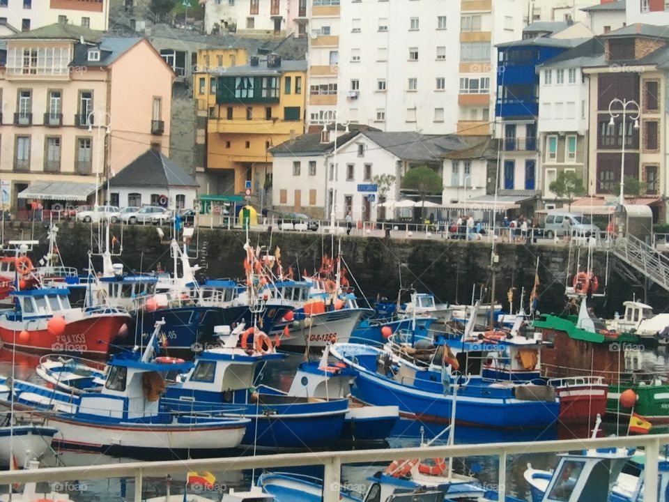 Busy harbour 