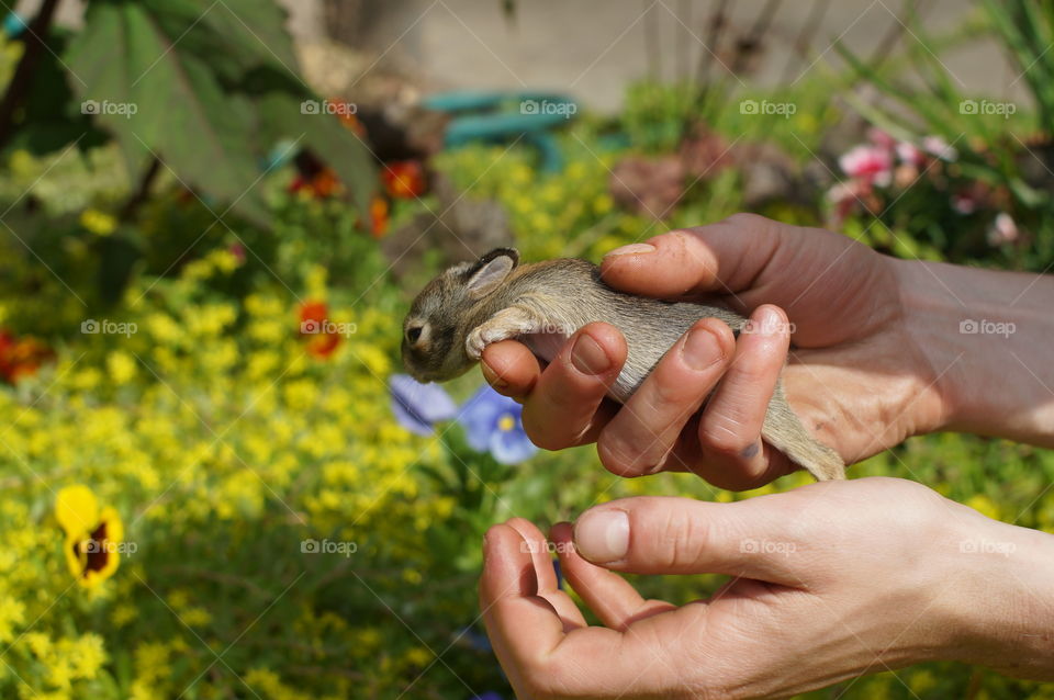 Wittle baby bunny wabbit . Seeing the world for the first time