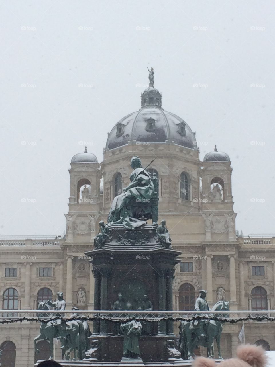 Snowy Vienna 